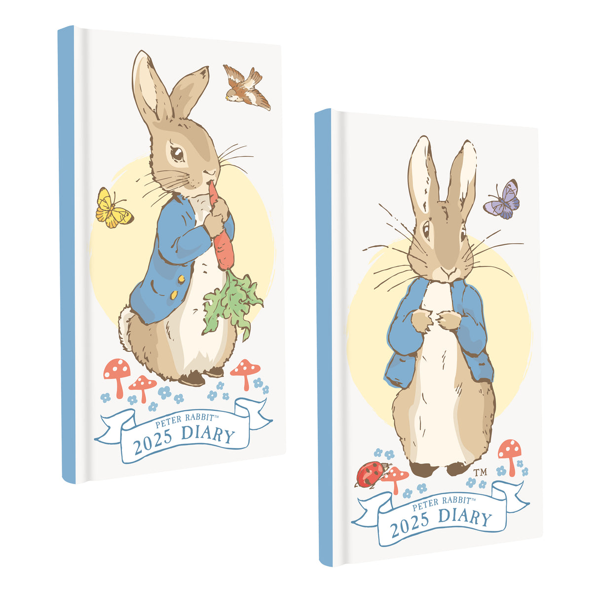 Peter Rabbit 2025 Slim Weekly View Diary