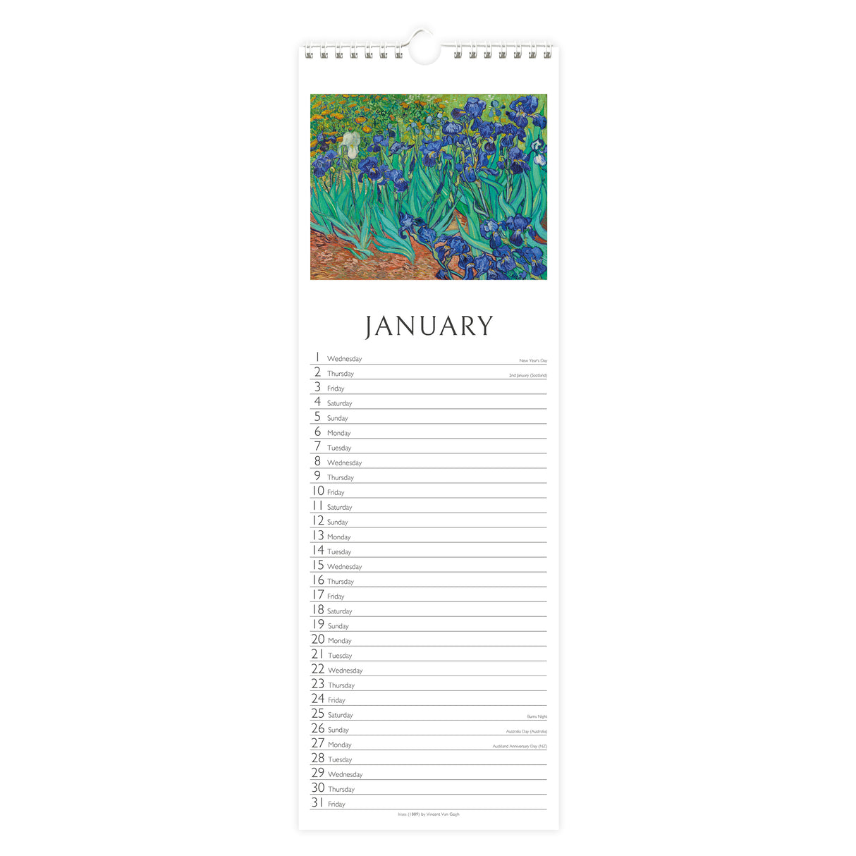 Fine Art 2025 Slim Wall Calendar