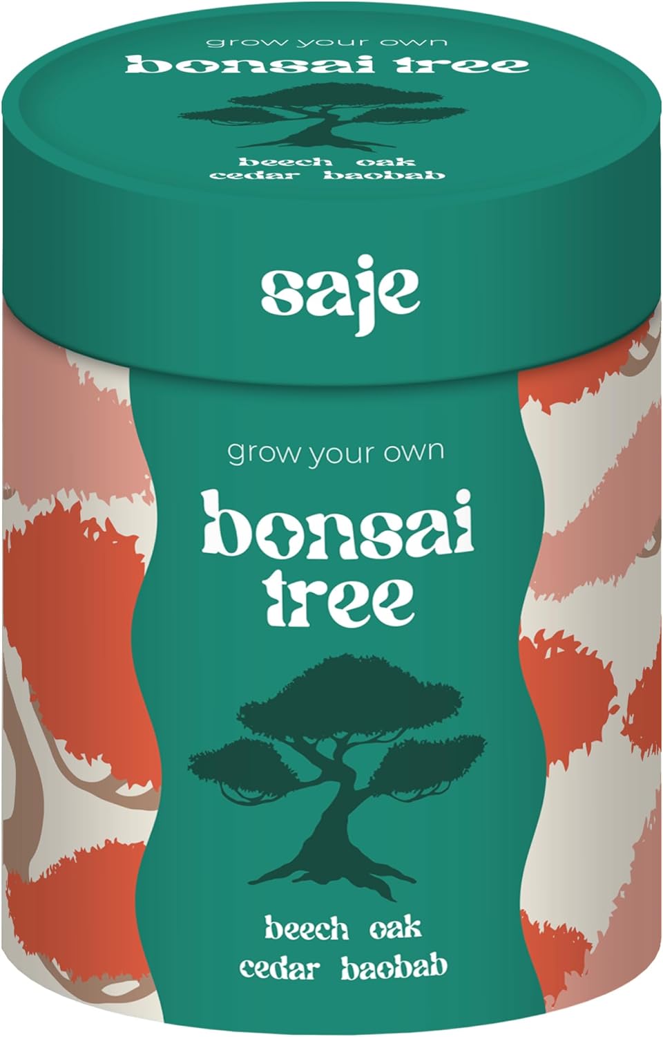 Saje Grow Your Own Bonsai Tree Kit - Includes Seeds, Bio Pots and Coir Pellets