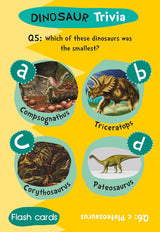 Children's Dinosaurs Trivia Flash Cards