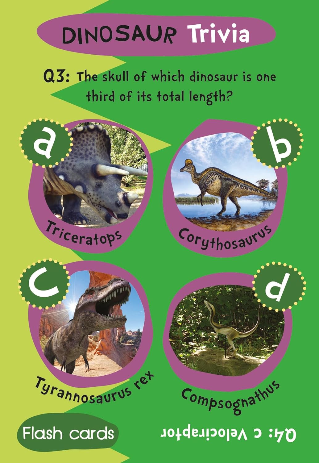 Children's Dinosaurs Trivia Flash Cards