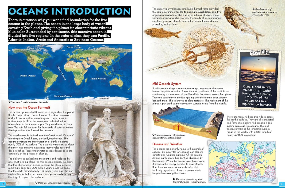 Discover Oceans - Children's Reference Book