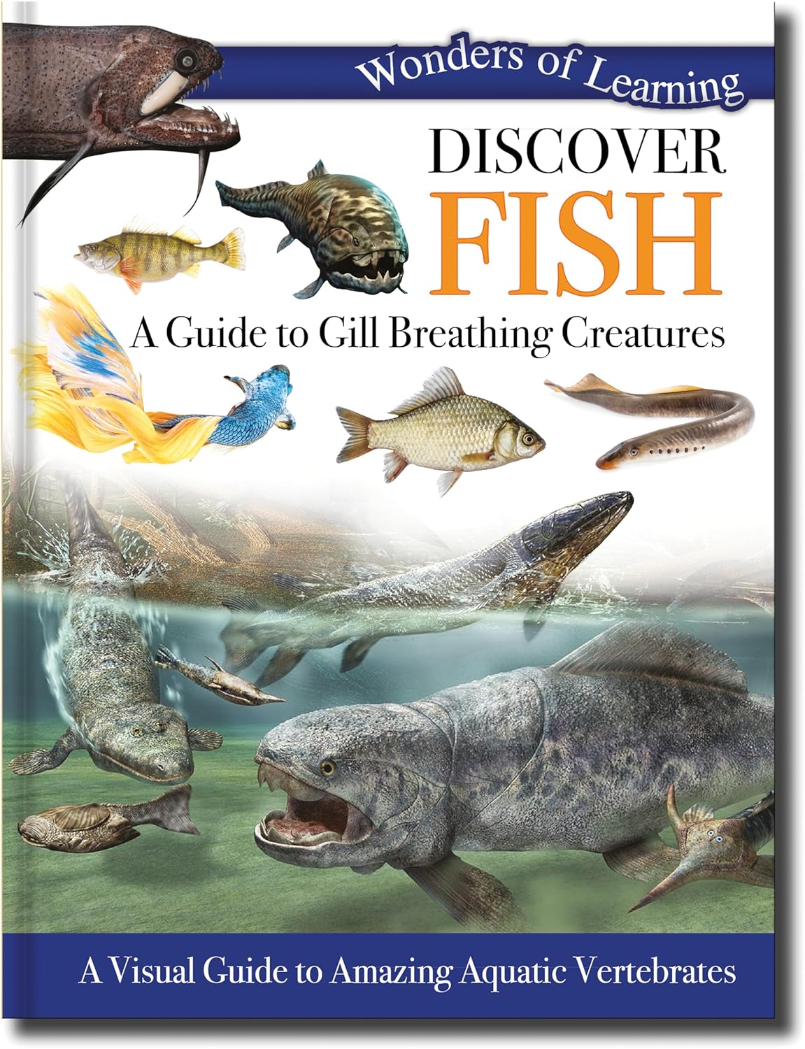 Discover Fish - Children's Reference Book