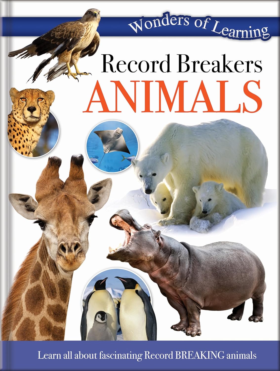 Record Breakers Animals - Children's Reference Book