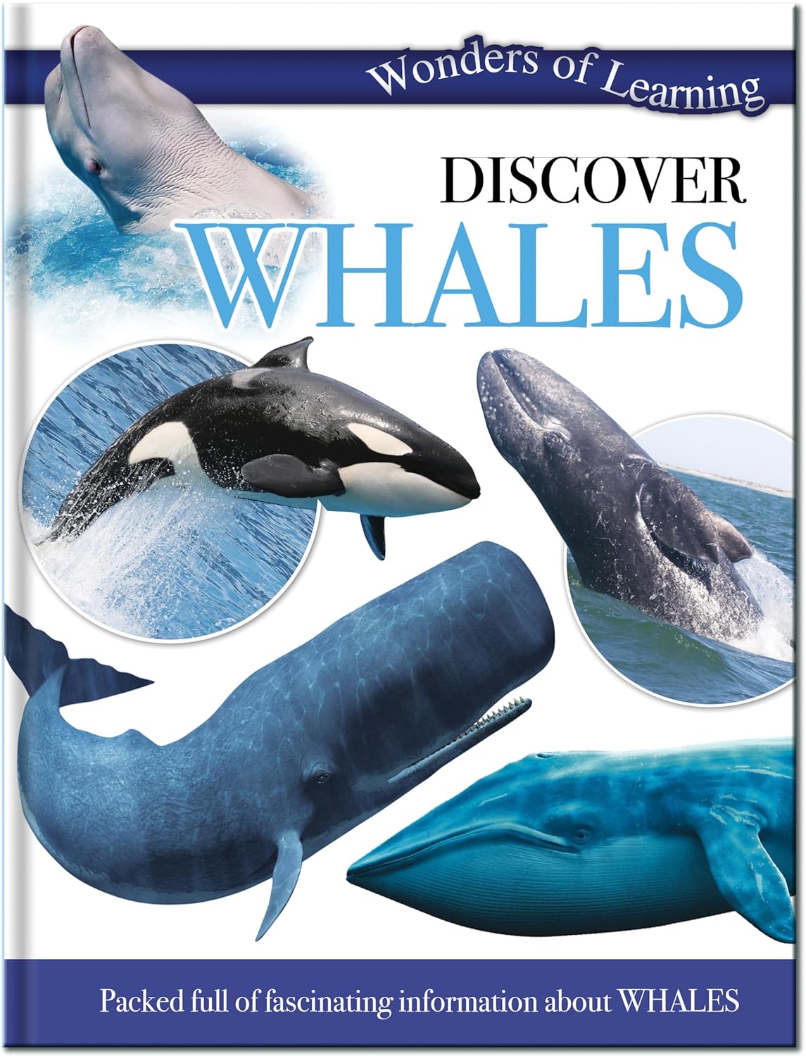 Discover Whales - Children's Reference Book