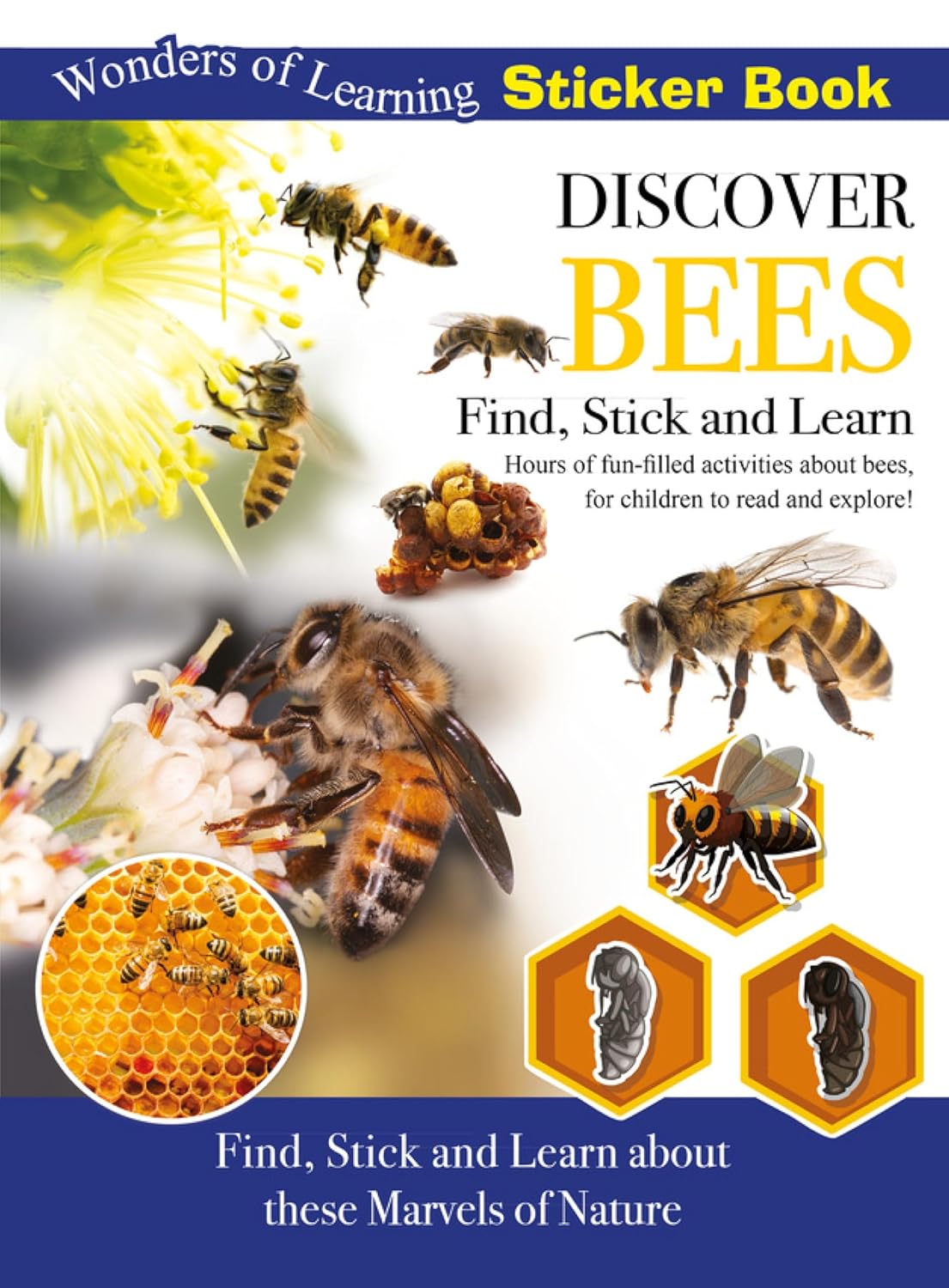 Discover Bees Sticker Book - Find, Stick and Learn