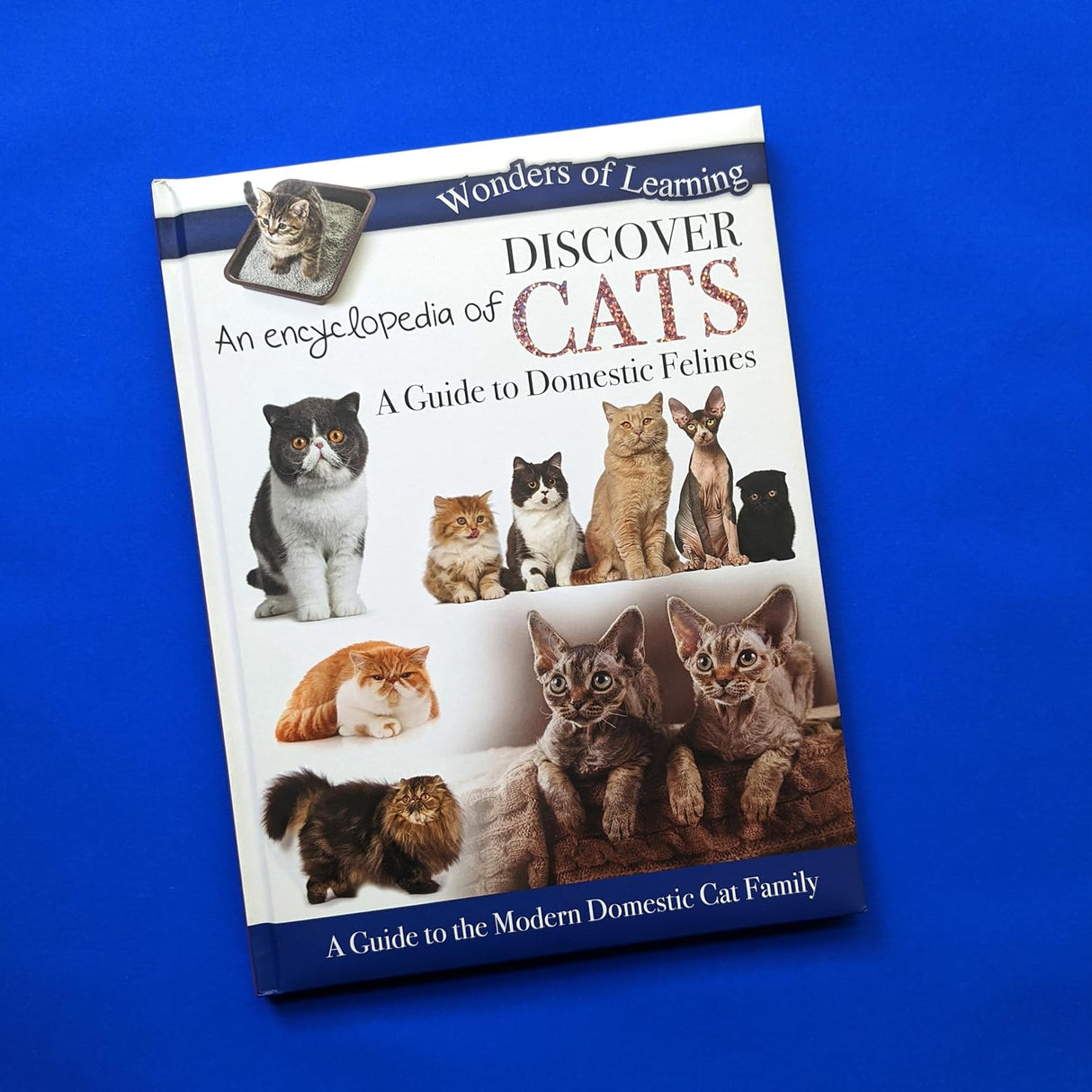 Discover an Encyclopedia of Cats - Children's Reference Book