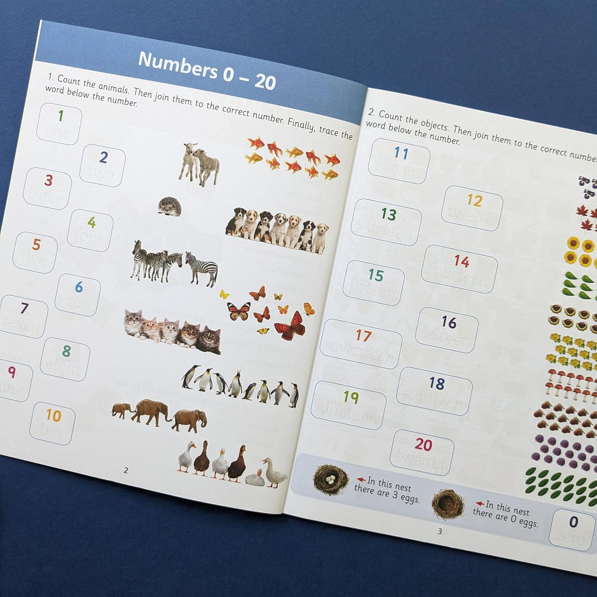 Children's Numbers Workbook – Year One Ages 5 to 6 Years