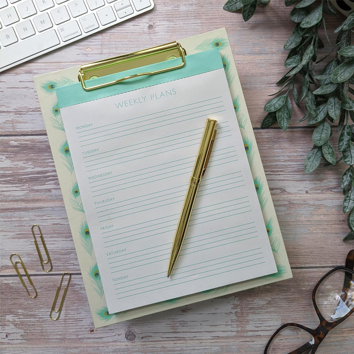 Peacock Feathers Weekly Planner Clipboard & Notepad Set