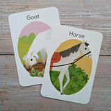 Farmyard Donkey - Children's Matching Card Game