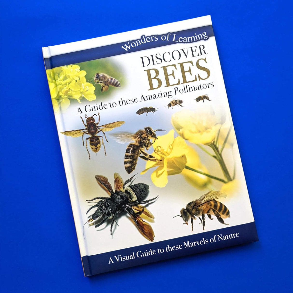 Discover Bees - Children's Reference Book