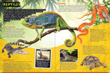 Discover Reptiles - Children's Reference Book