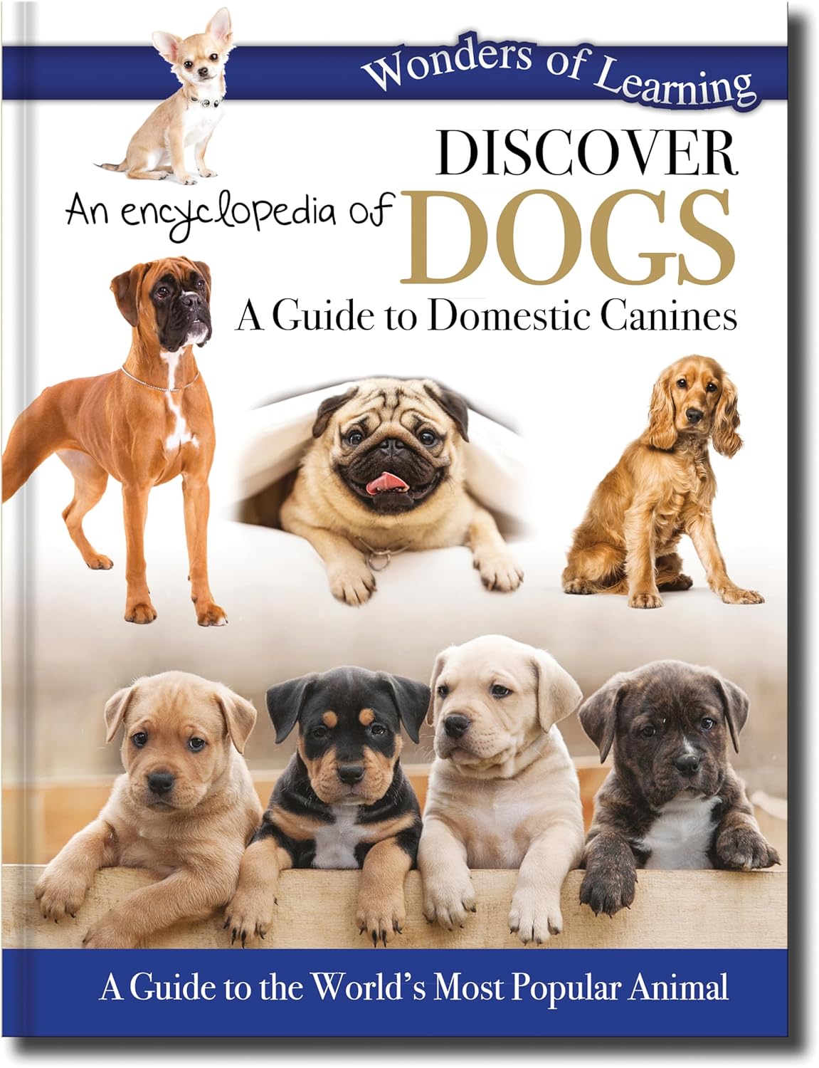 Discover an Encyclopedia of Dogs - Children's Reference Book