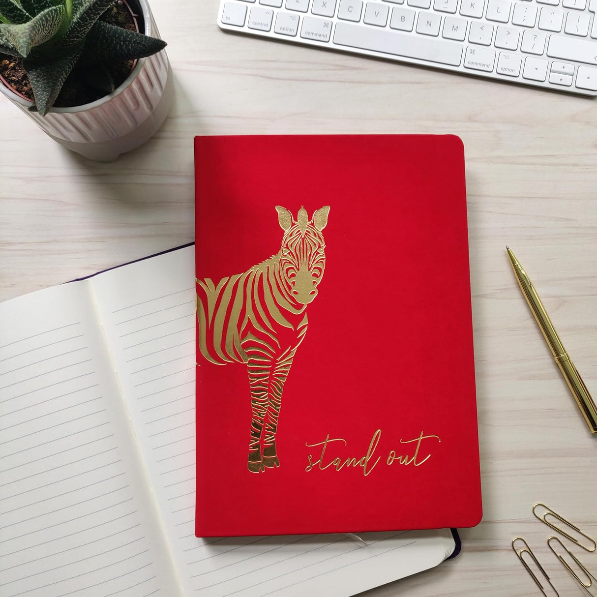 Premium B5 Lined Notebook Journal - Stand Out Zebra Design