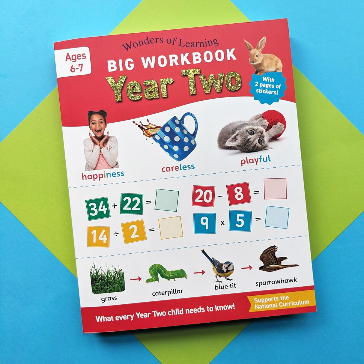 Children's Big Workbook – Year Two Ages 6 to 7 Years