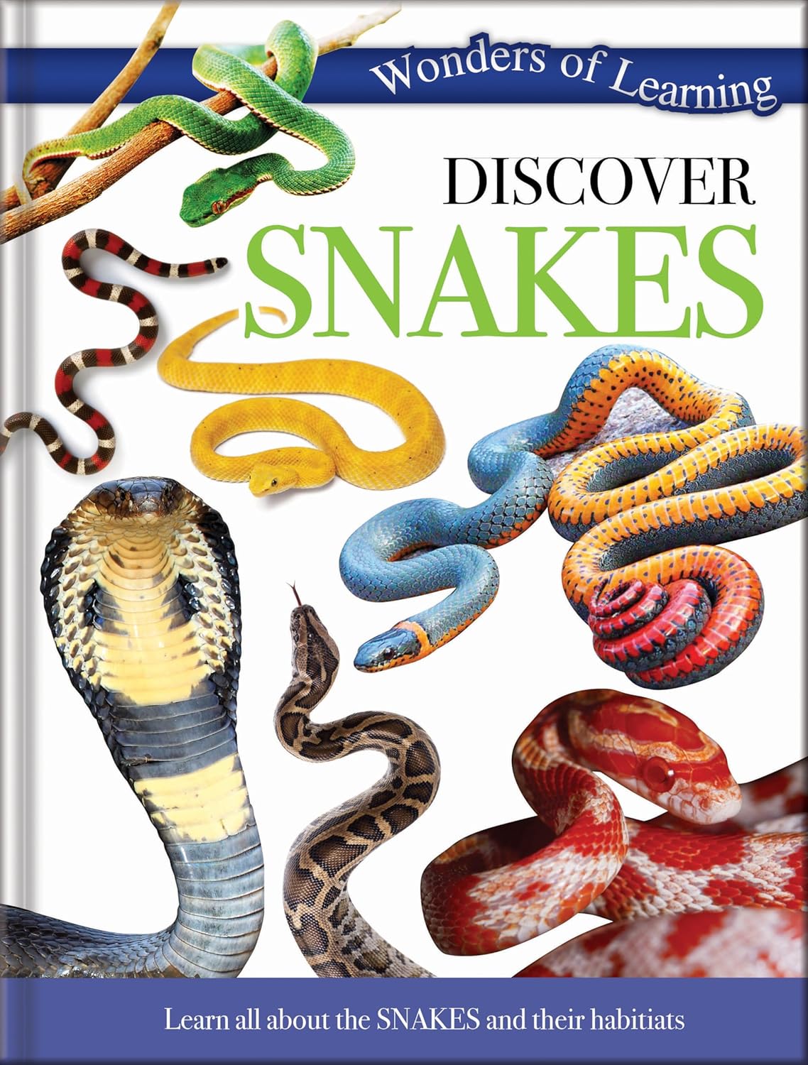 Discover Snakes - Children's Reference Book