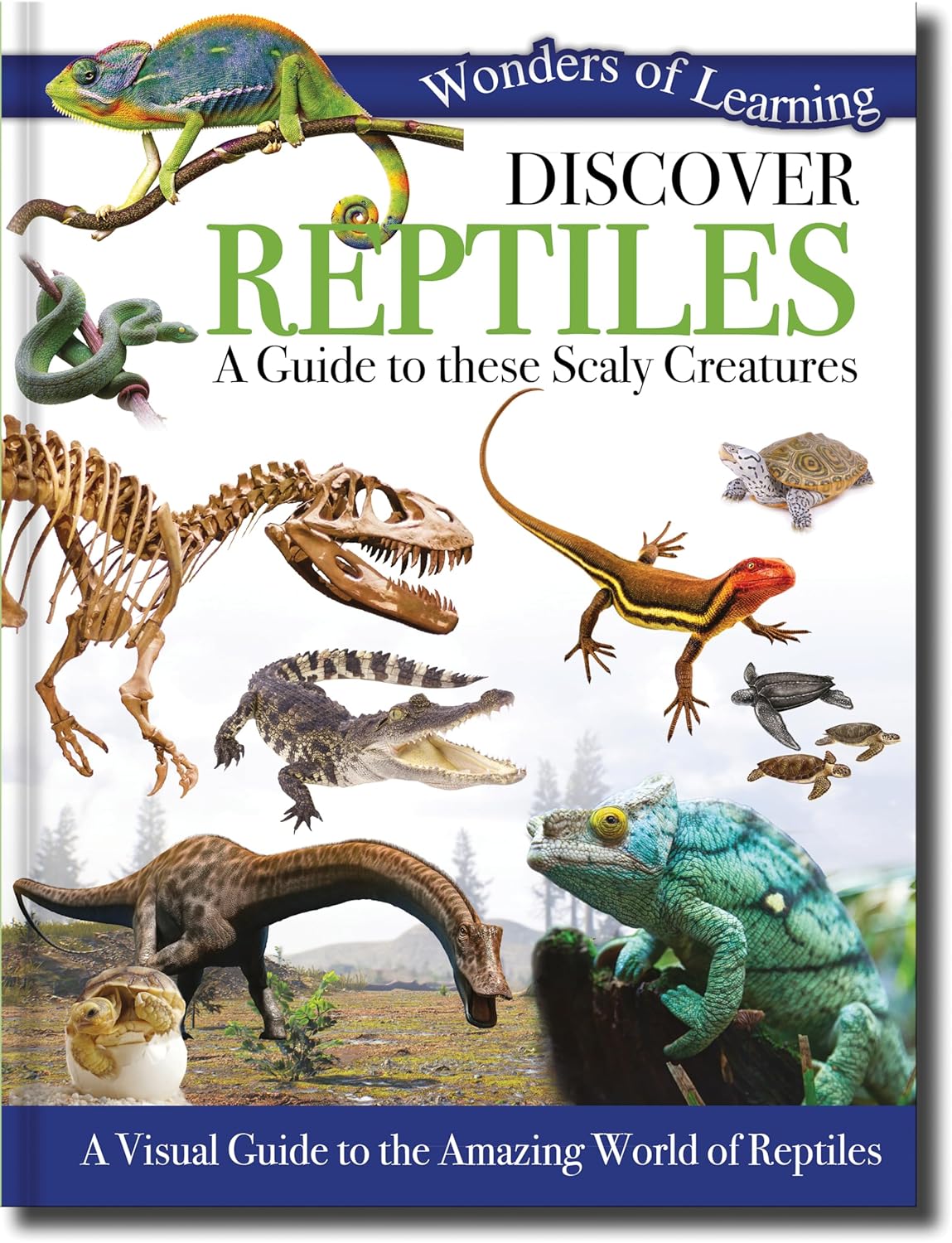 Discover Reptiles - Children's Reference Book