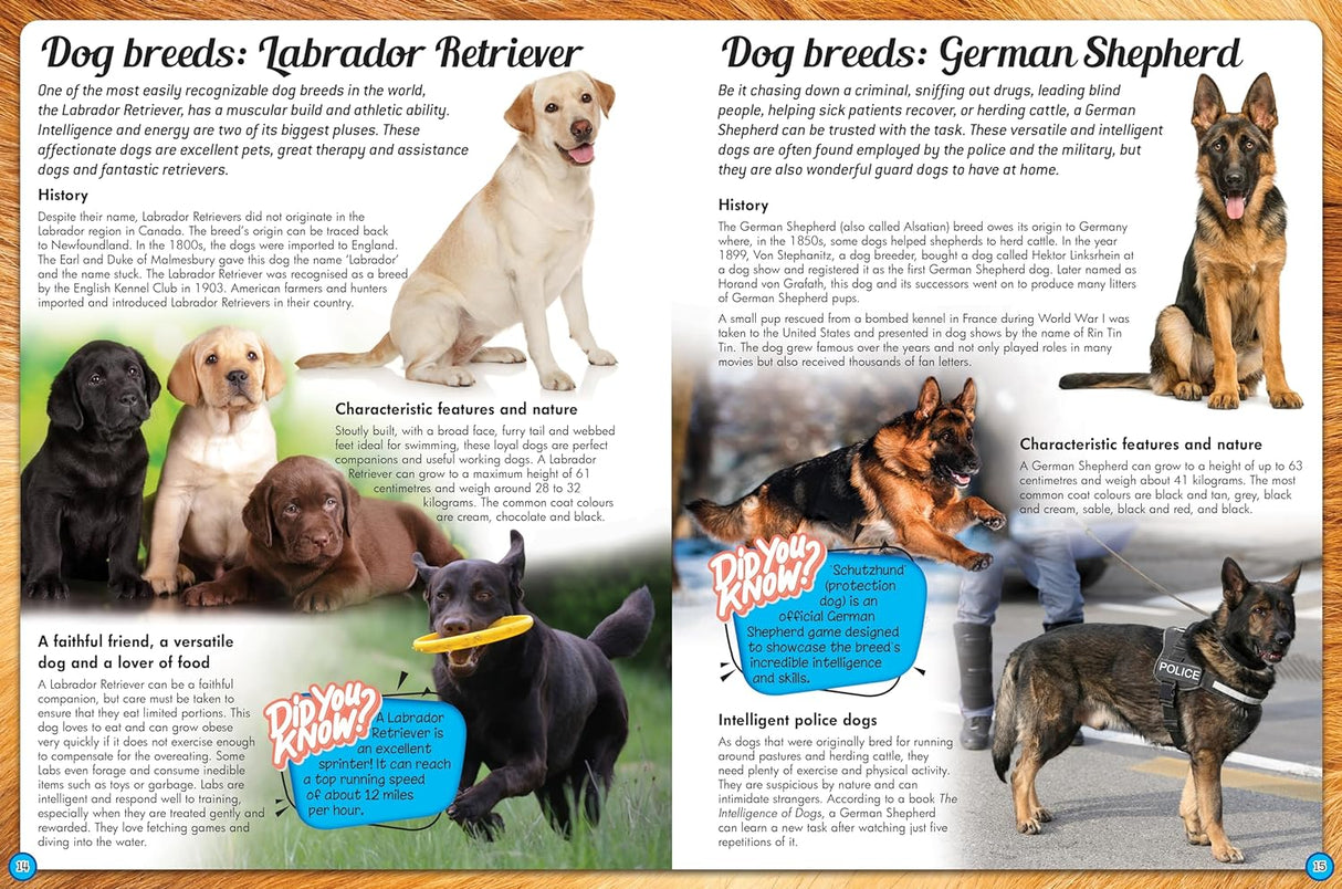 Discover an Encyclopedia of Dogs - Children's Reference Book