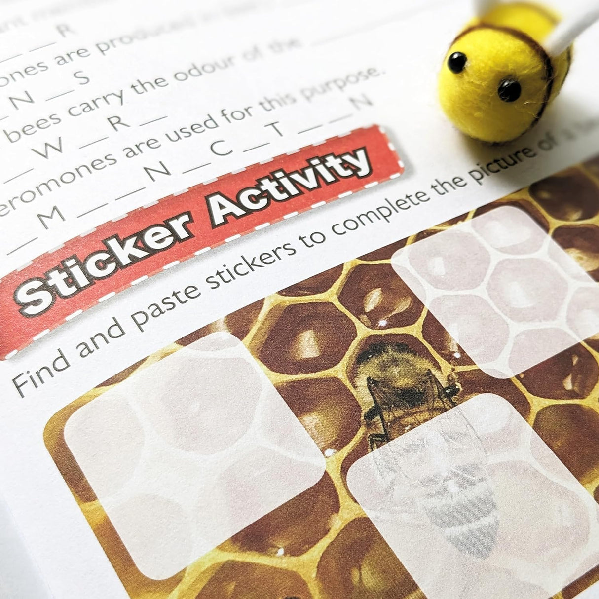 Discover Bees Sticker Book - Find, Stick and Learn