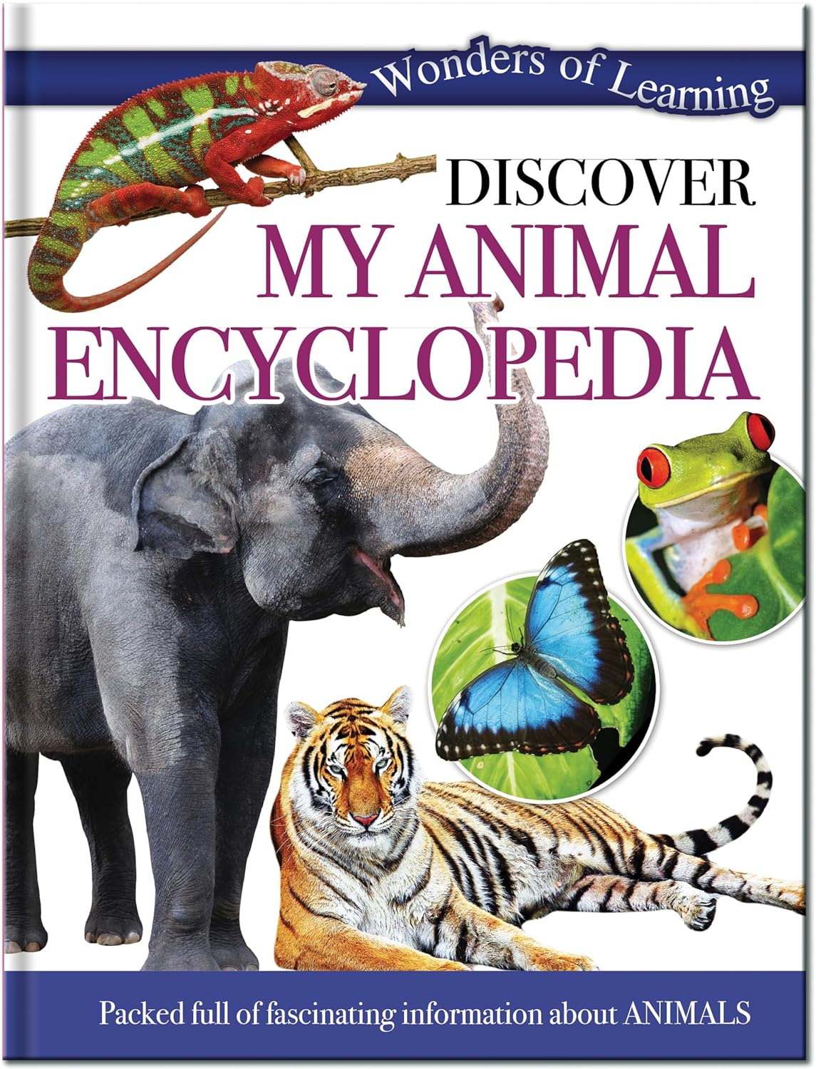 Discover My Animal Encyclopedia - Children's Reference Book