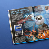 Discover Oceans - Children's Reference Book