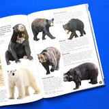 Discover Amazing Animals - Children's Reference Book