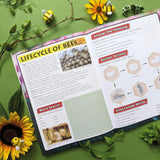 Discover Bees Sticker Book - Find, Stick and Learn