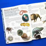 Discover Amazing Animals - Children's Reference Book