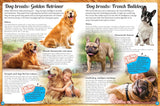 Discover an Encyclopedia of Dogs - Children's Reference Book