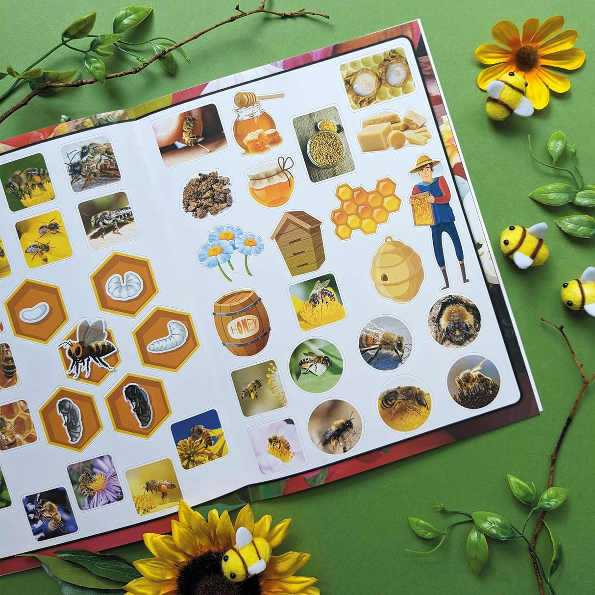 Discover Bees Sticker Book - Find, Stick and Learn