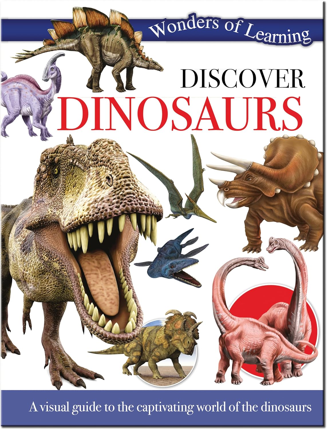 Discover Dinosaurs -  Children's Reference Book