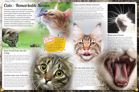 Discover an Encyclopedia of Cats - Children's Reference Book