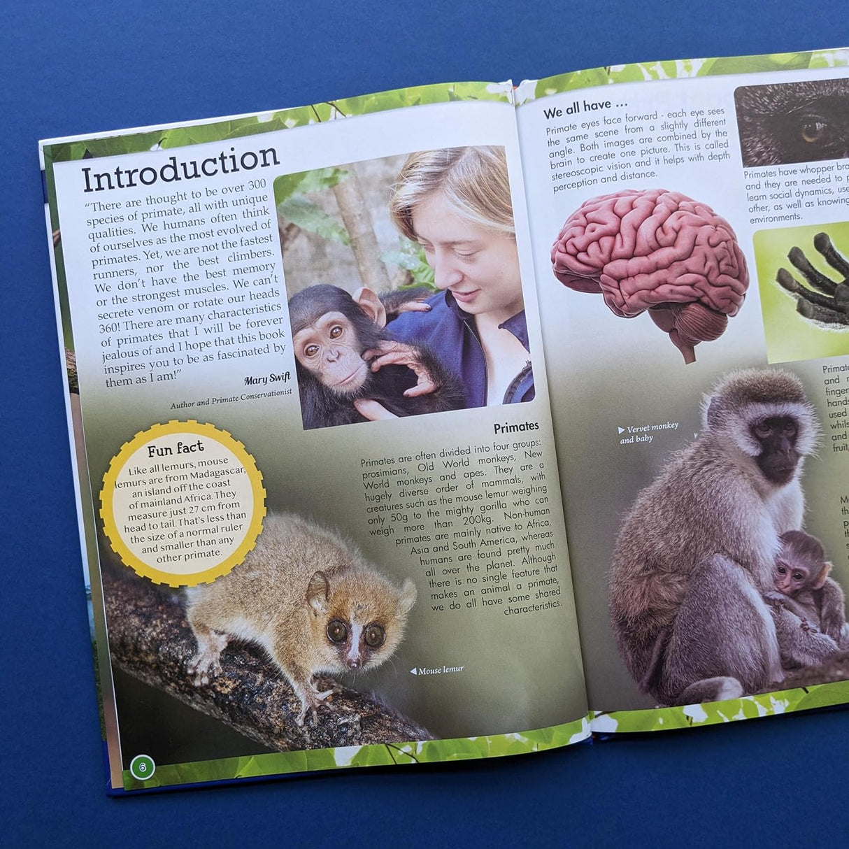 Discover Primates - Children's Reference Book