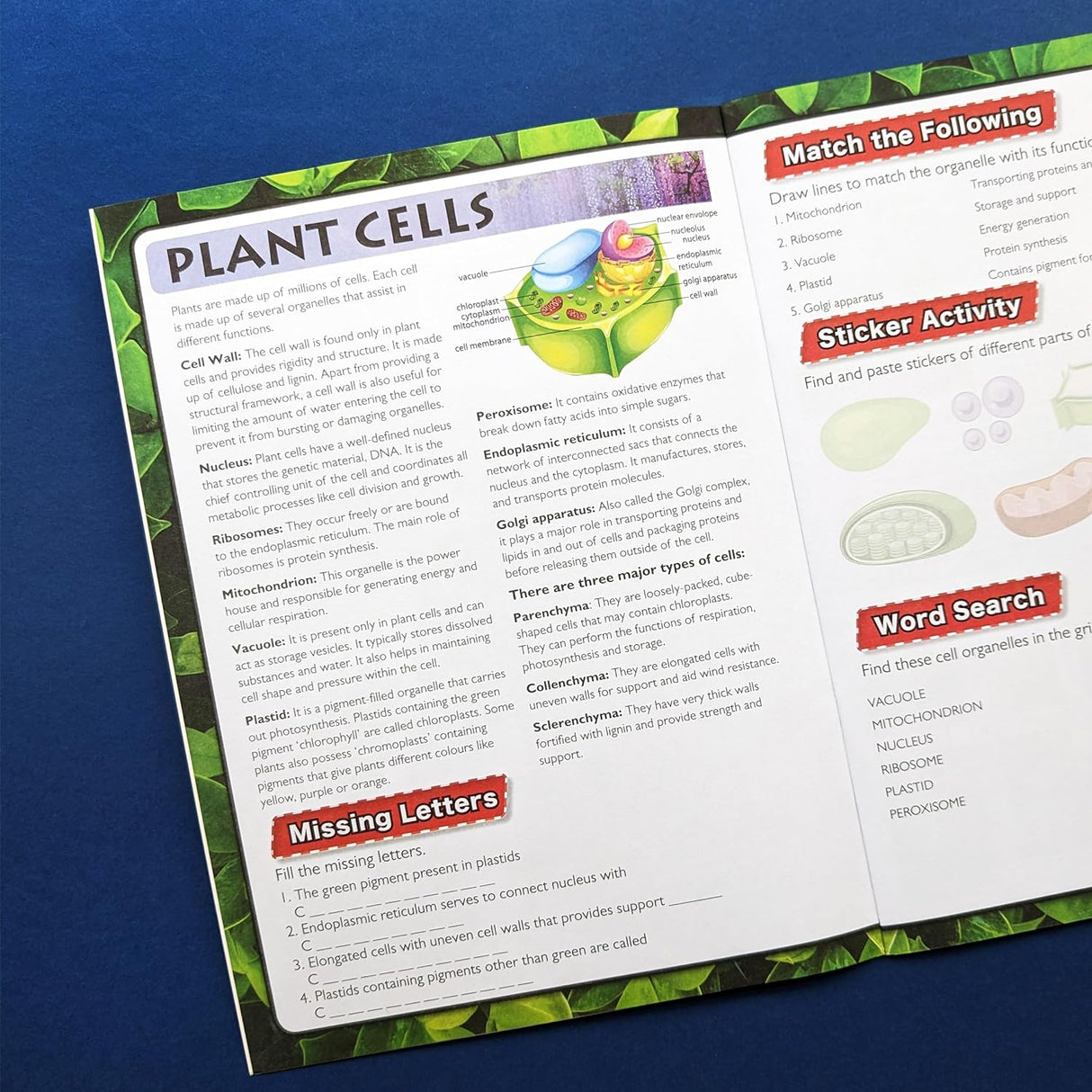 Discover Botany Sticker Book - Find, Stick and Learn