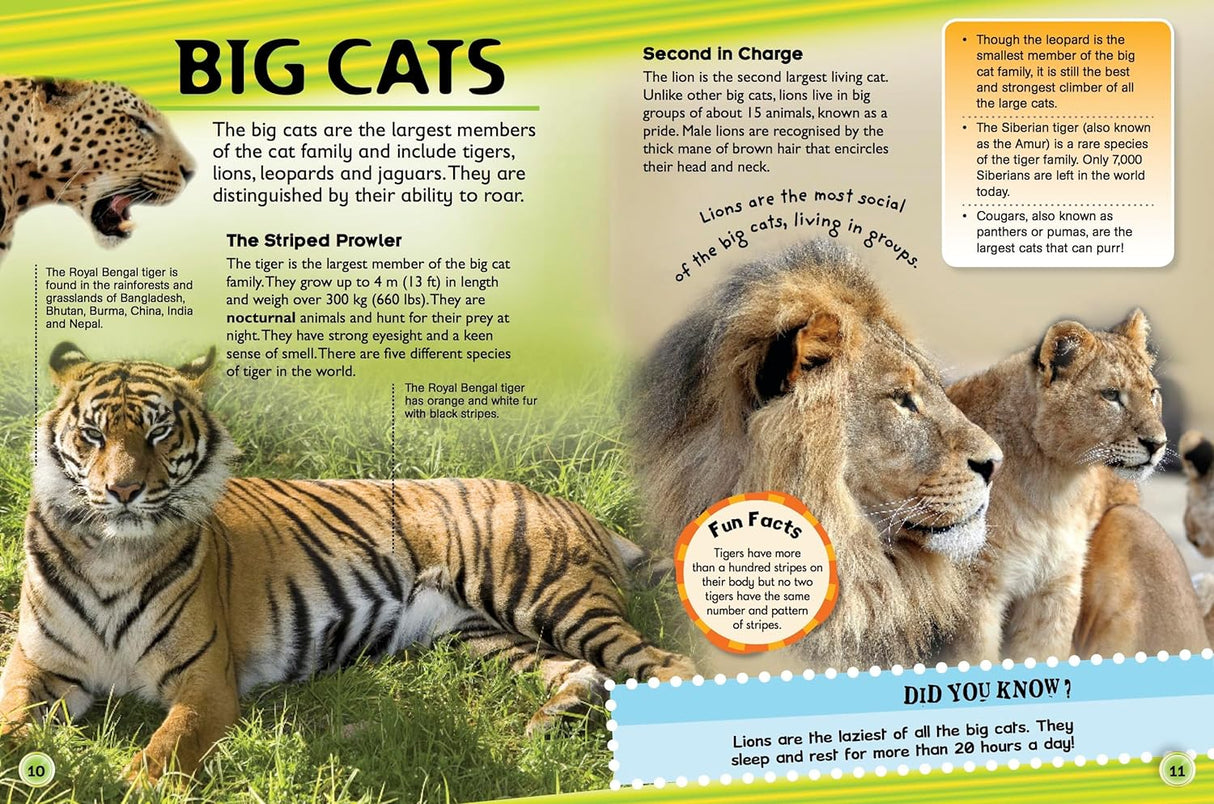 Discover My Animal Encyclopedia - Children's Reference Book