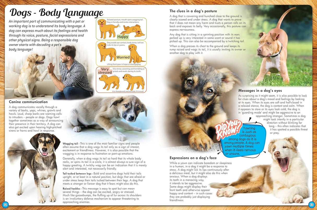 Discover an Encyclopedia of Dogs - Children's Reference Book