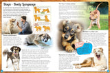 Discover an Encyclopedia of Dogs - Children's Reference Book