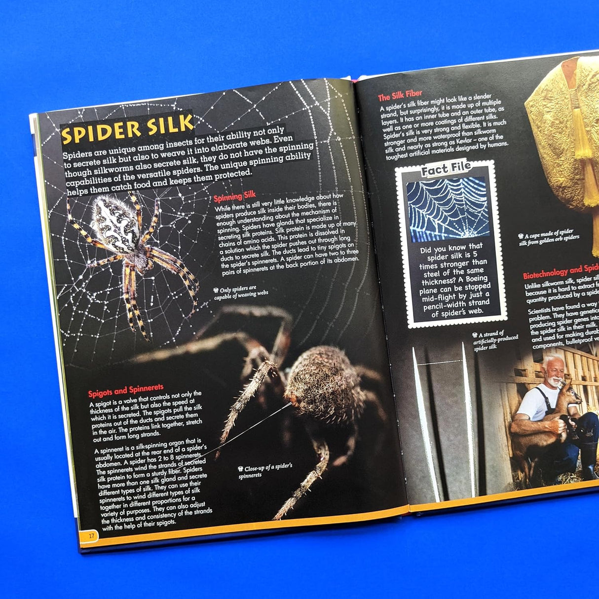 Discover Spiders - Children's Reference Book