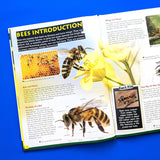 Discover Bees - Children's Reference Book