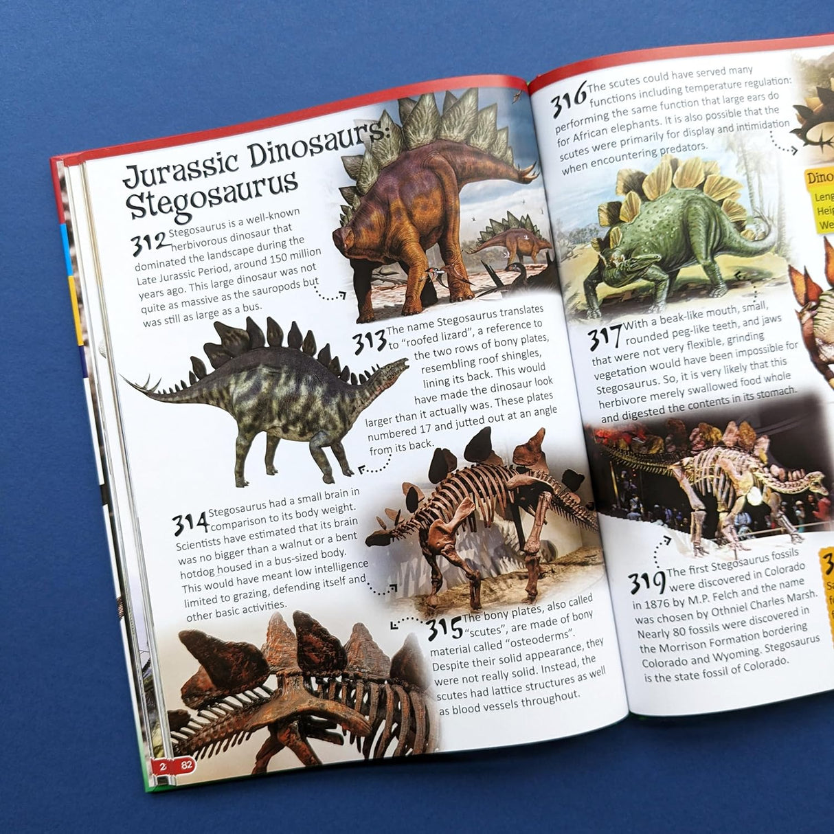 500 Fantastic Facts - Dinosaurs - Children's Reference Book