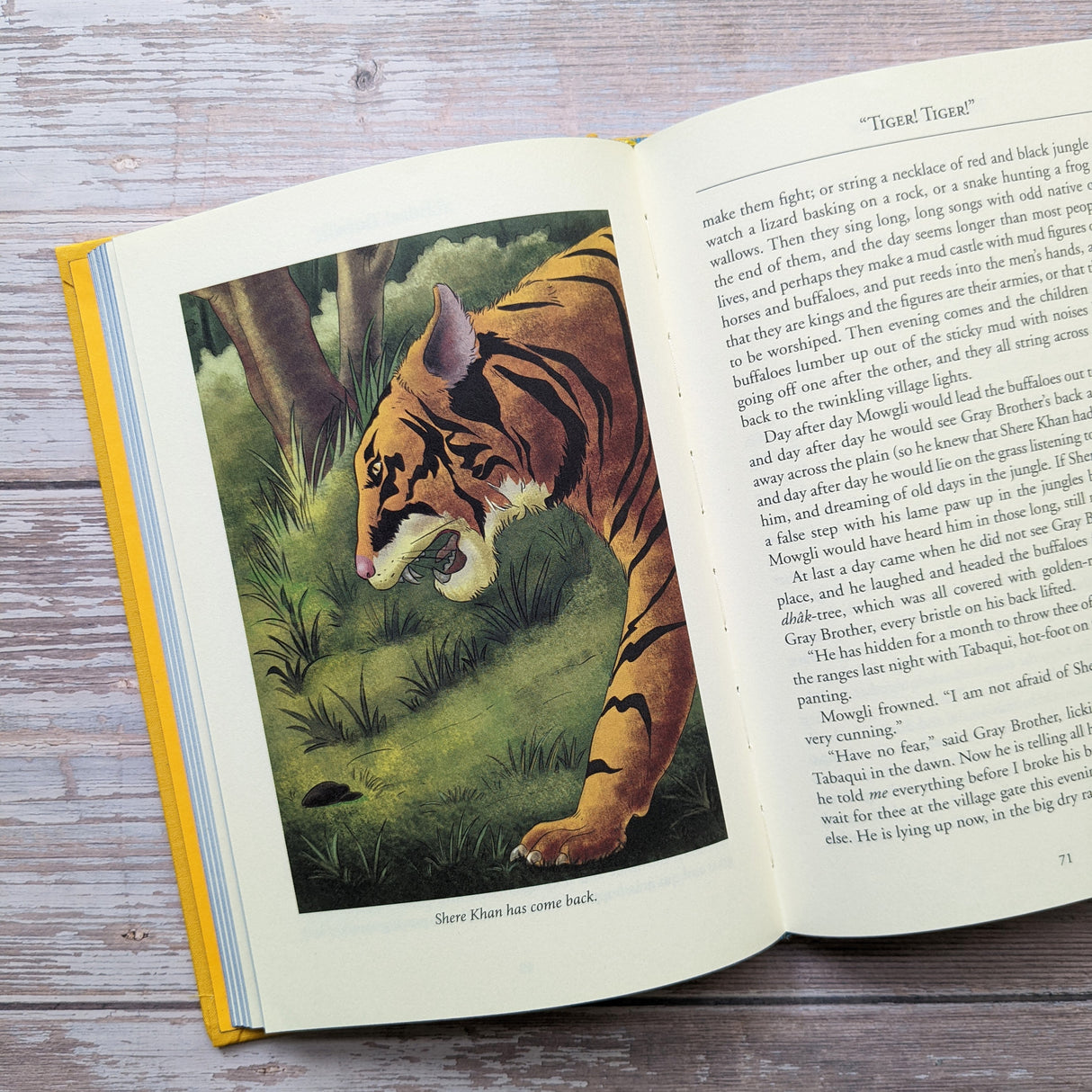 The Jungle Book - Children’s Classic Book