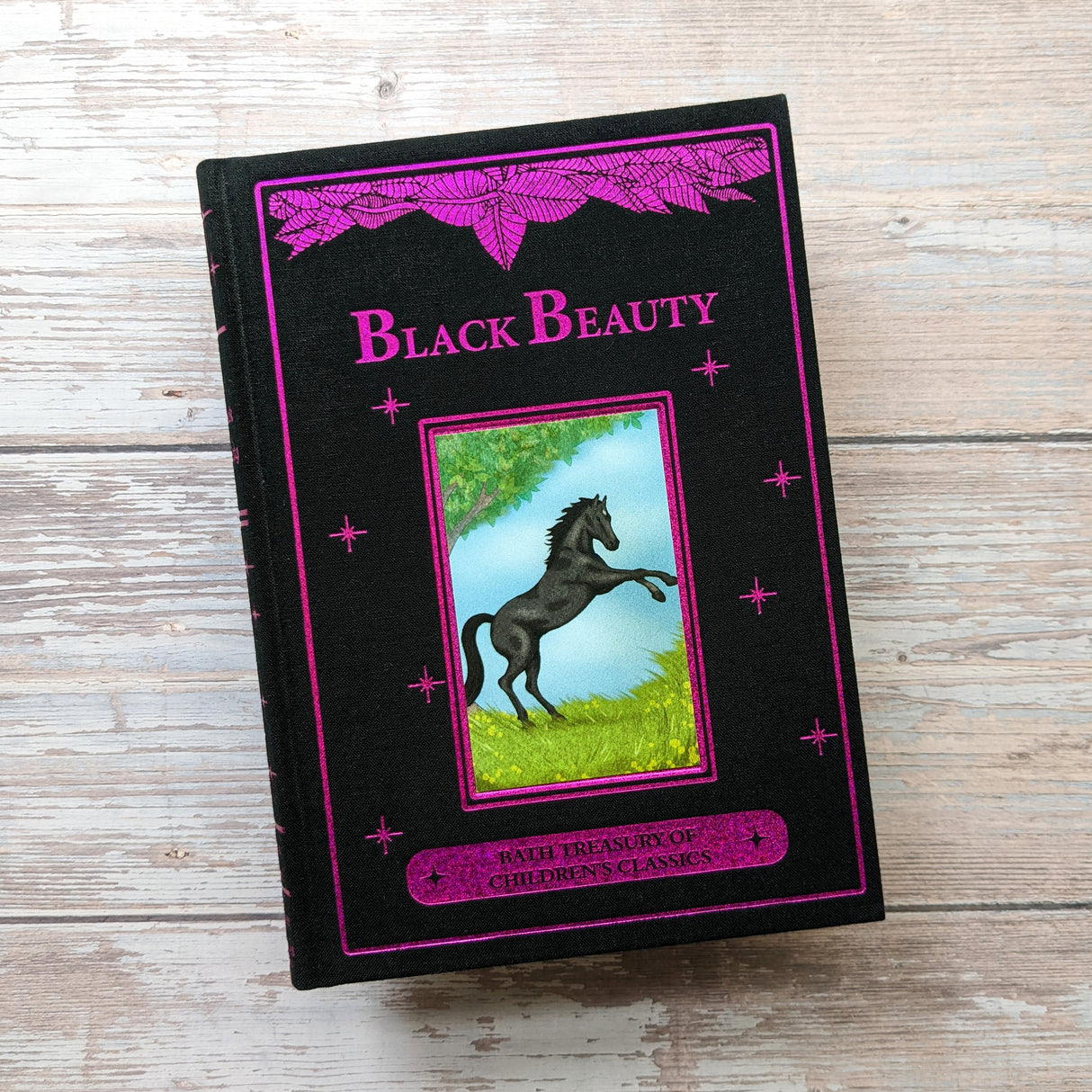 Black Beauty - Children’s Classic Book