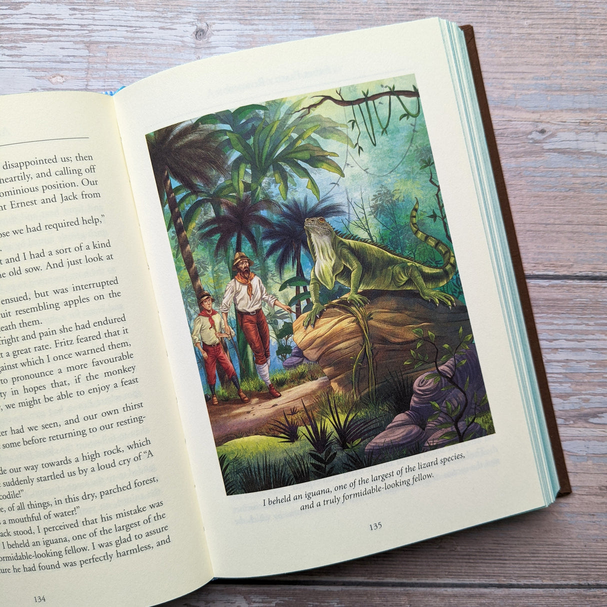 The Swiss Family Robinson - Children’s Classic Book