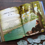 The Illustrated Childrens Bible