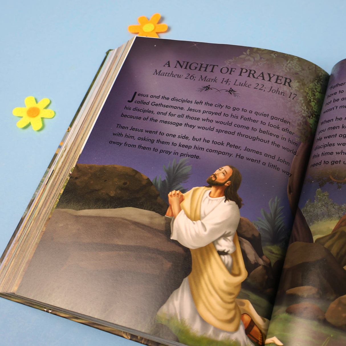 The Illustrated Childrens Bible