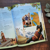 The Complete Illustrated Children's Bible Dictionary