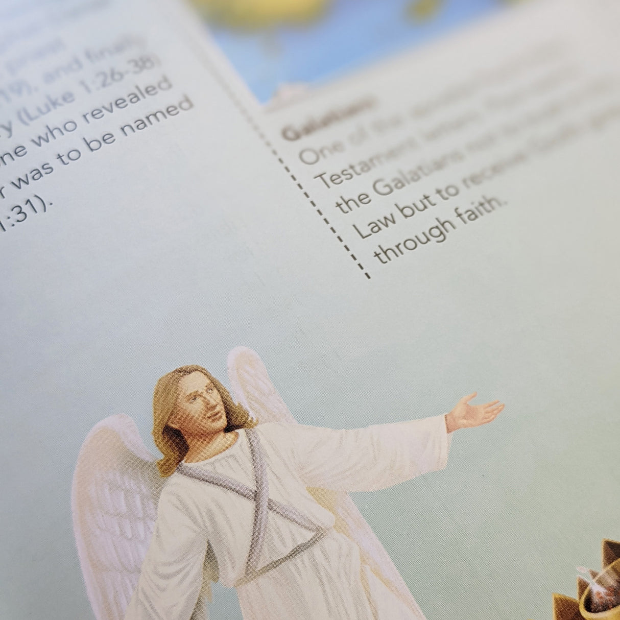 The Complete Illustrated Children's Bible Dictionary