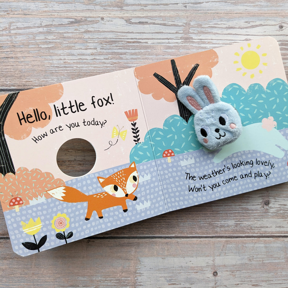 Hello Little Bunny - Children's Finger Puppet Book