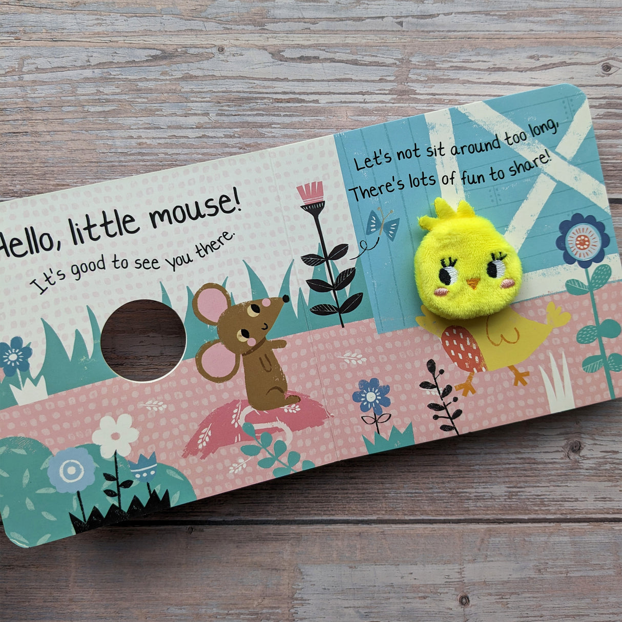 Hello Little Chick - Children's Finger Puppet Book