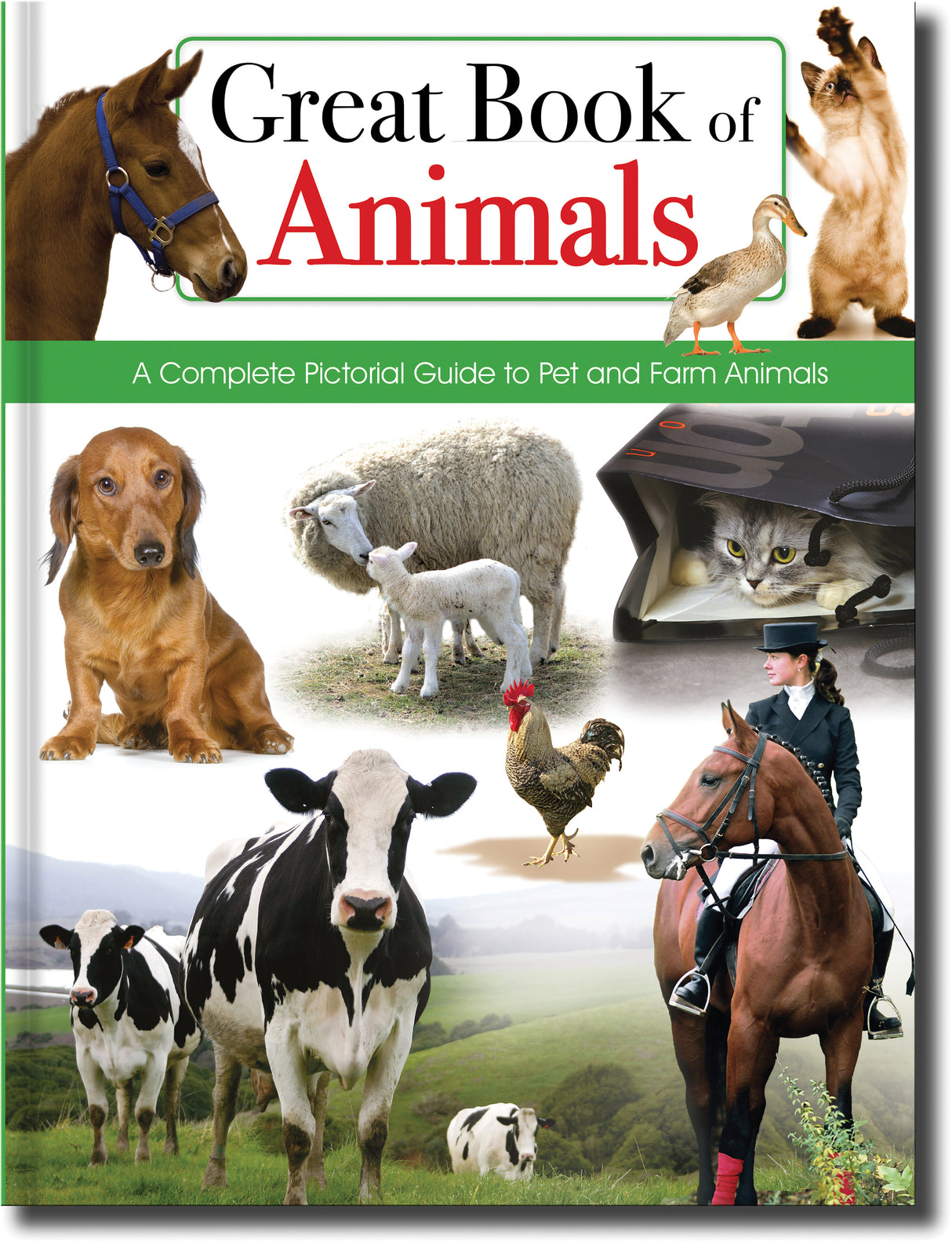 Great Book of Animals - Children's Reference Book